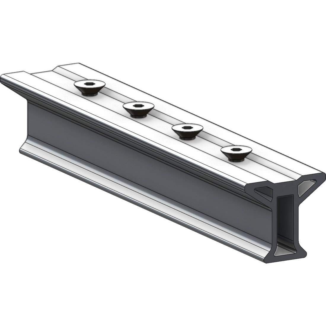 Eclisse rail standard CONEKT